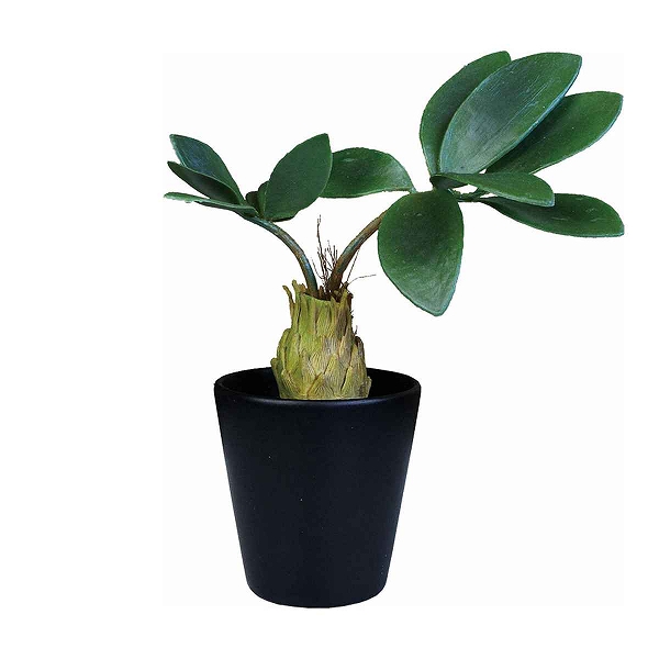 フェイクグリーン ブラックポットTS 光触媒 （ 人工観葉植物