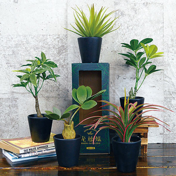 フェイクグリーン ブラックポットTS 光触媒 （ 人工観葉植物