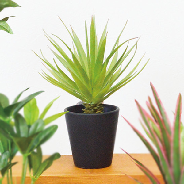 フェイクグリーン ブラックポットTS 光触媒 （ 人工観葉植物