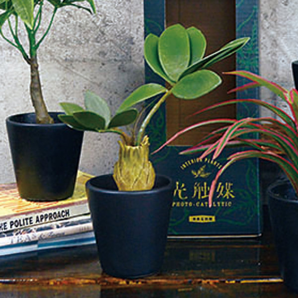 フェイクグリーン ブラックポットTS 光触媒 （ 人工観葉植物