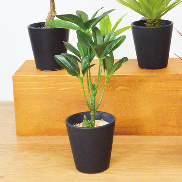 フェイクグリーン ブラックポットTS 光触媒 （ 人工観葉植物