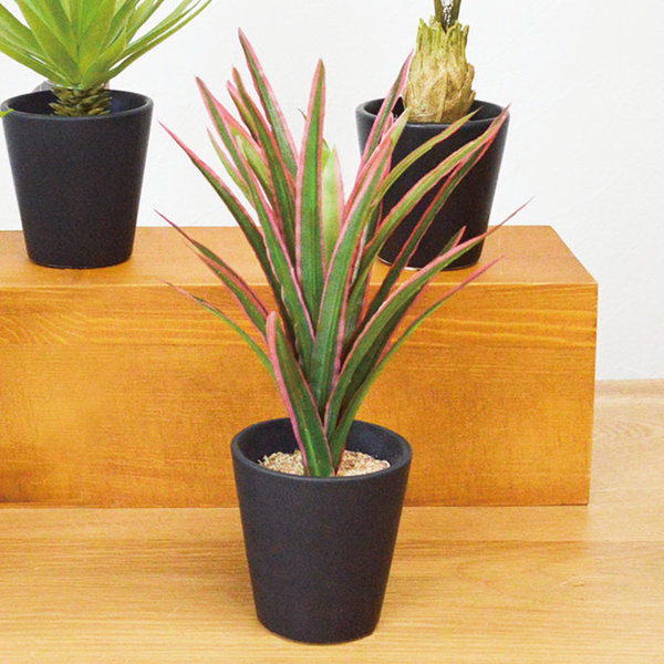 フェイクグリーン ブラックポットTS 光触媒 （ 人工観葉植物