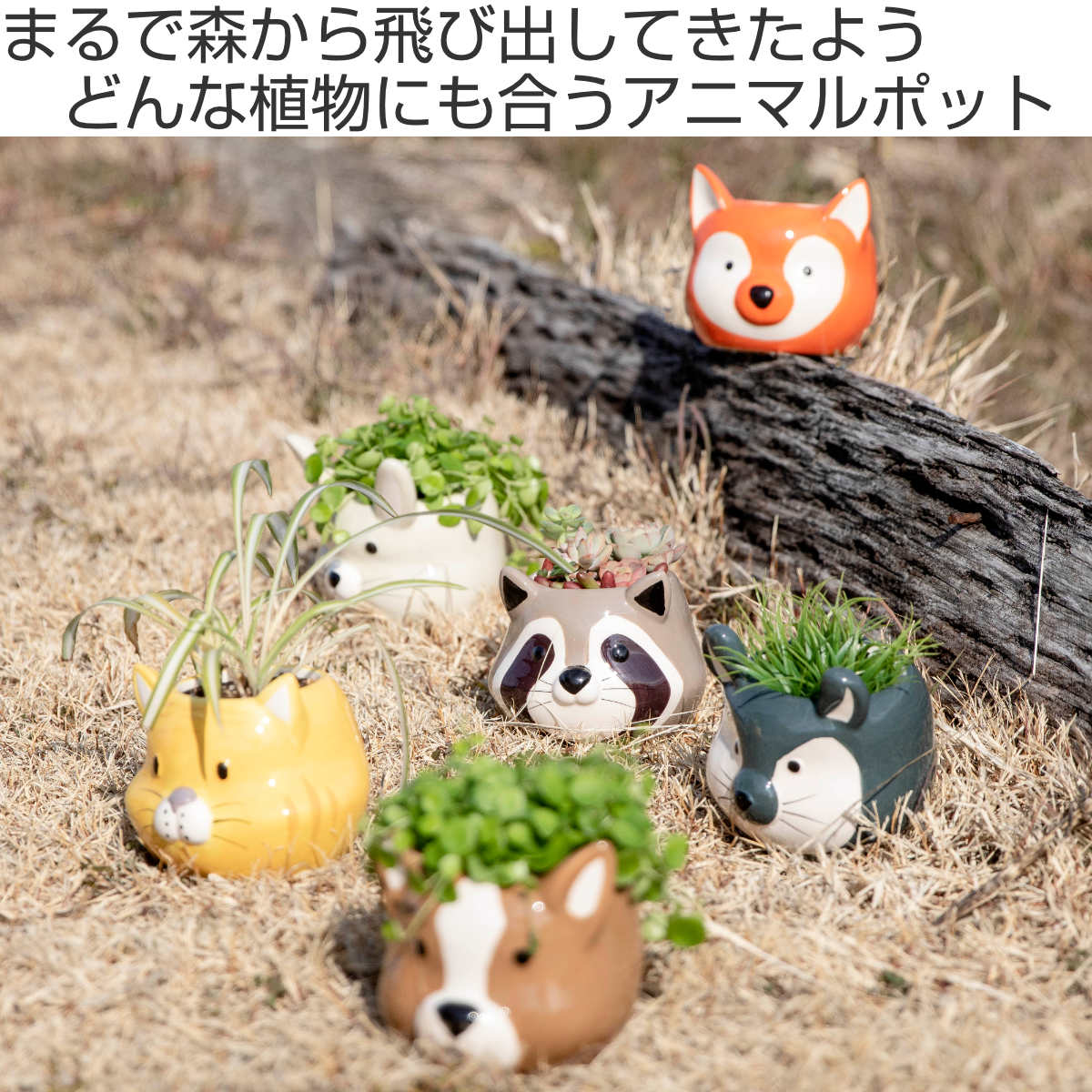 プランター アニマル ポット （ 植木鉢 プラントポット 陶器 鉢植え 鉢