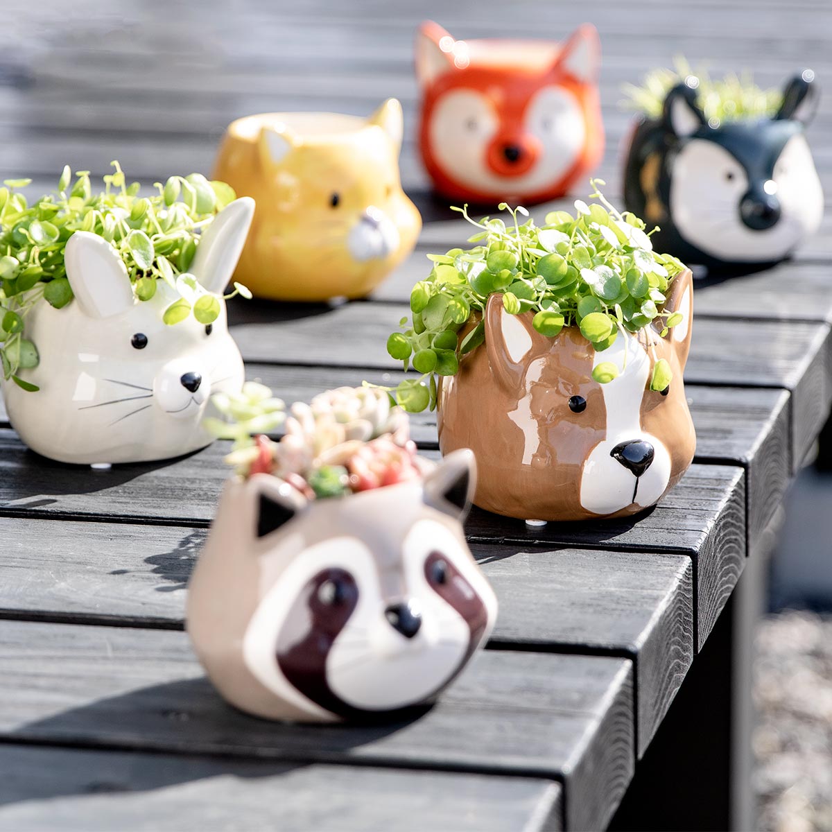 プランター アニマル ポット （ 植木鉢 プラントポット 陶器 鉢植え 鉢