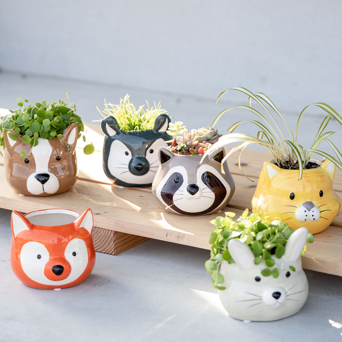 プランター アニマル ポット （ 植木鉢 プラントポット 陶器 鉢植え 鉢