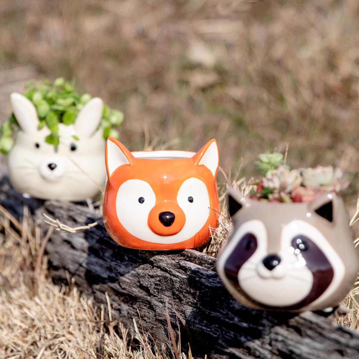 プランター アニマル ポット （ 植木鉢 プラントポット 陶器 鉢植え 鉢