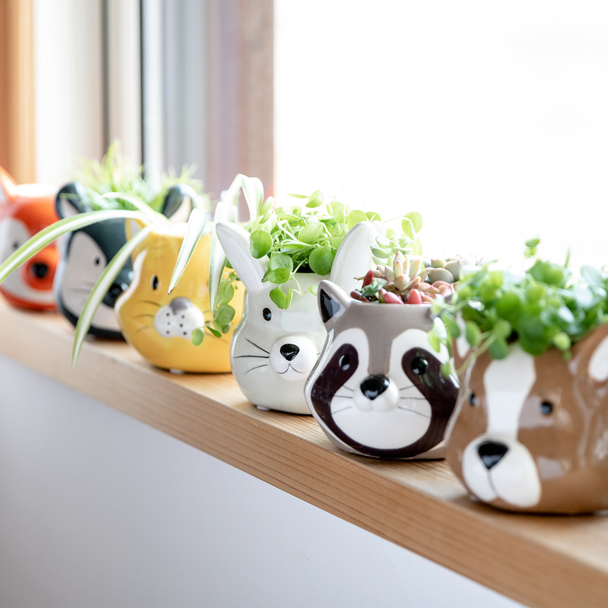 プランター アニマル ポット （ 植木鉢 プラントポット 陶器 鉢植え 鉢