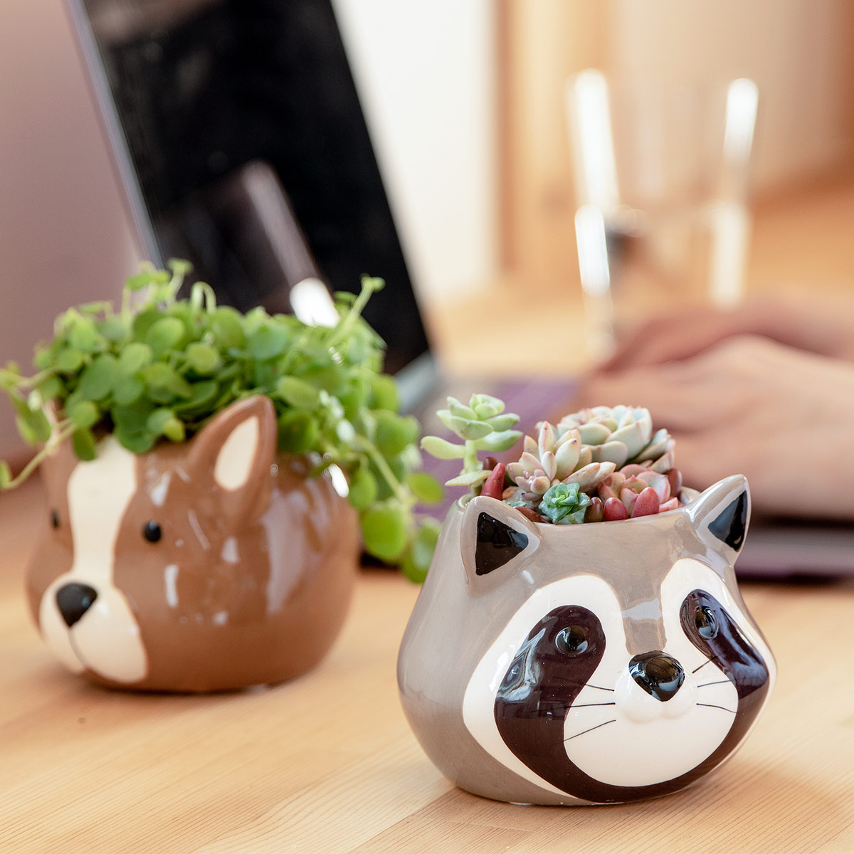 プランター アニマル ポット （ 植木鉢 プラントポット 陶器 鉢植え 鉢