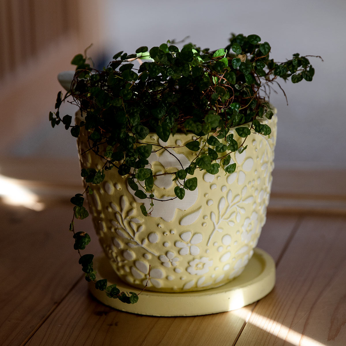 プランター クッカ ポット M （ 植木鉢 プラントポット 鉢植え 鉢 寄せ