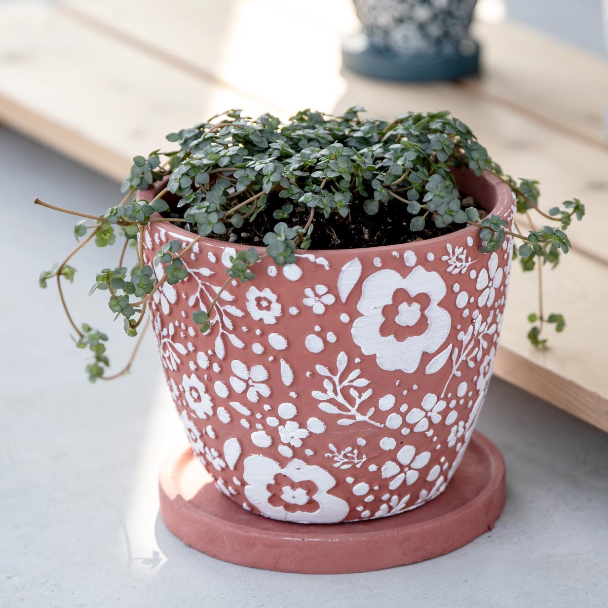 プランター クッカ ポット L （ 植木鉢 プラントポット 鉢植え 鉢 寄せ