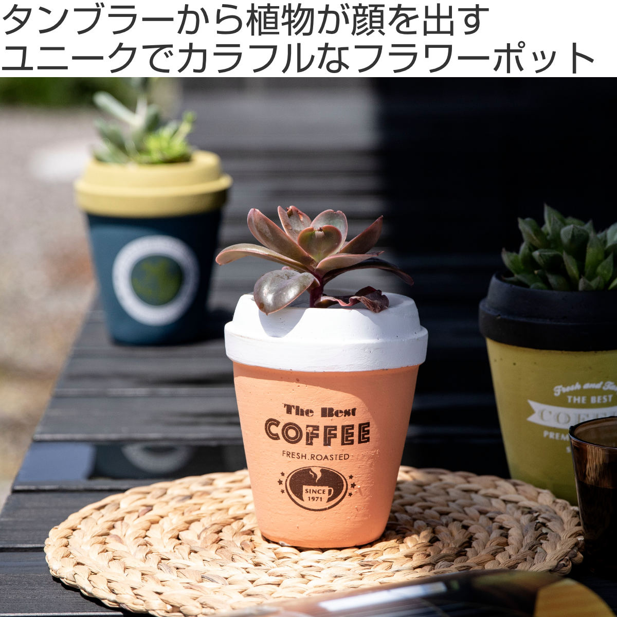 最安プラン 378872-img.jpg 鉢・プランター