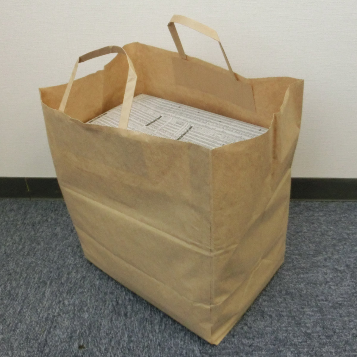 ネクスタ 資源回収袋 5枚入り 紙製 （ 紙袋 新聞紙 雑誌 収納 回収袋