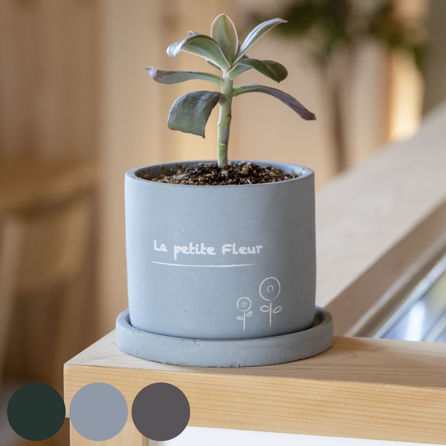 プランター プチフルール ラウンドポット M （ 植木鉢 プラントポット 鉢植え 鉢 寄せ植え ソーサー 受け皿 付き アースカラー ）