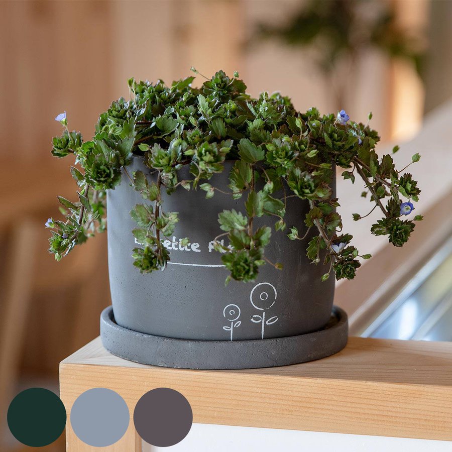 プランター プチフルール ラウンドポット L （ 植木鉢 プラントポット 鉢植え 鉢 寄せ植え ソーサー 受け皿 付き アースカラー ）