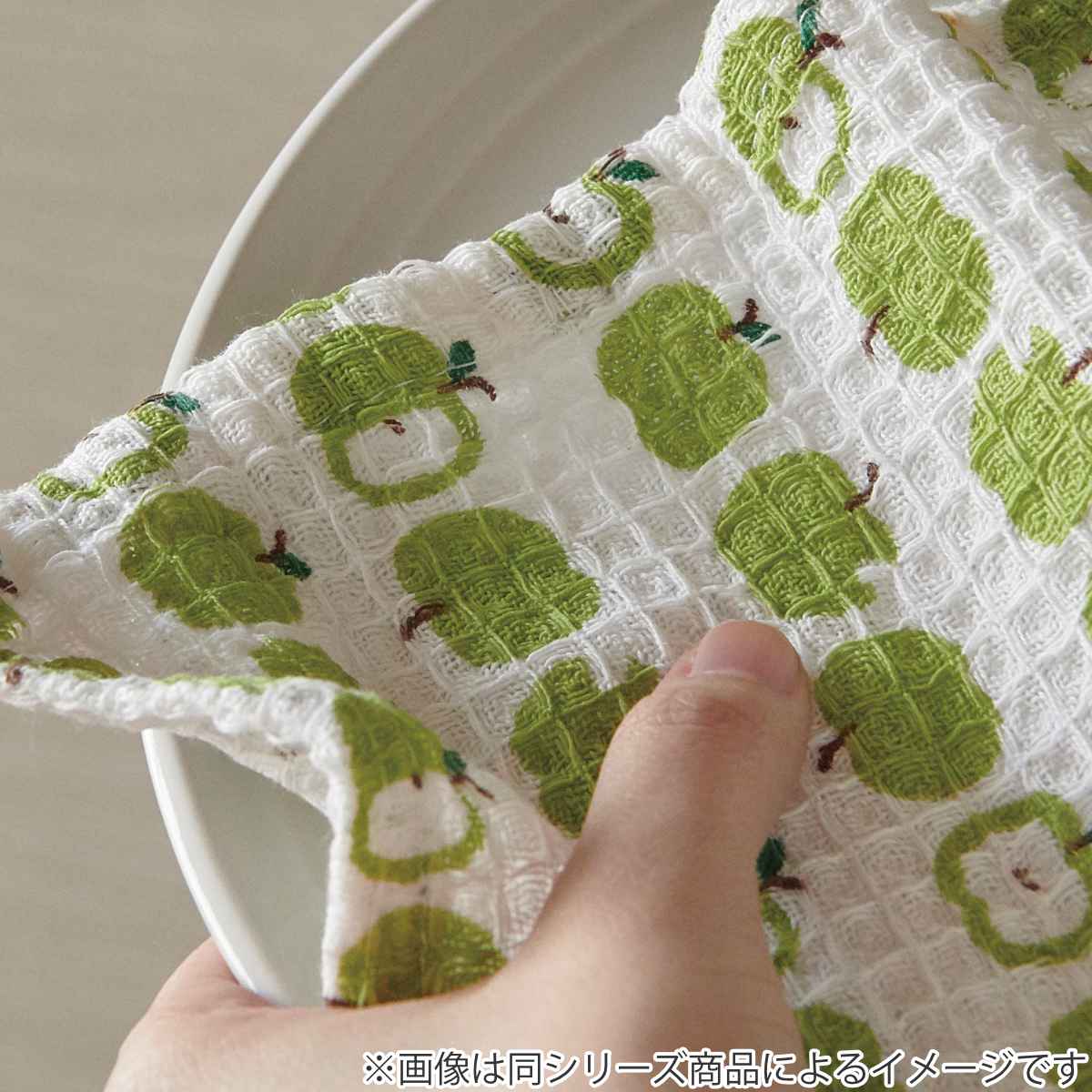 キッチンクロス 2枚入 綿100％ 正方形 30cm 鳥 花柄 チェック （ 布巾