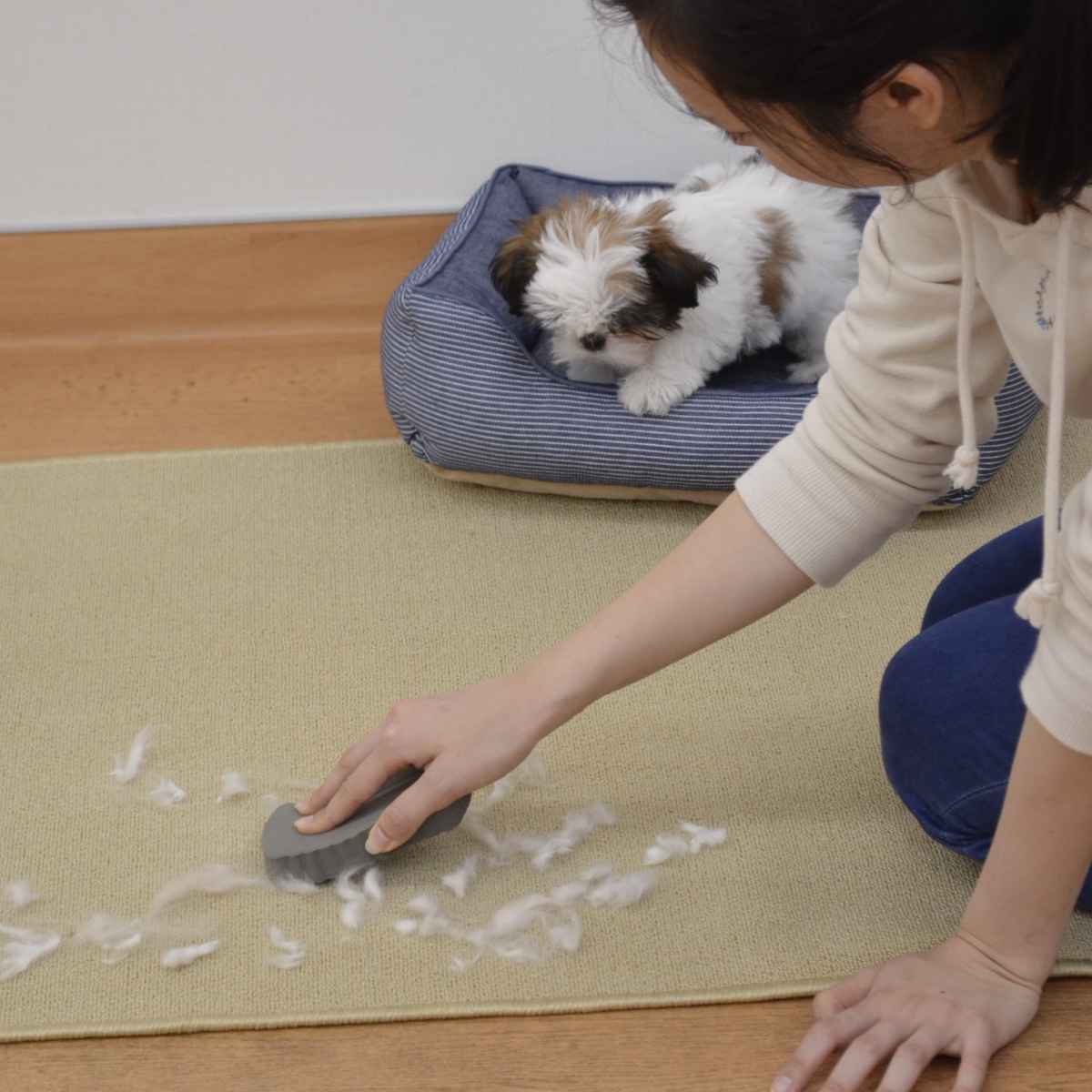 尻当て ニホンタヌキ 青森県産 長さ42㎝×幅28㎝ ウエスト80㎝～110㎝ クッションなし 管理番号6-2-10 | 田舎の毛皮屋さん