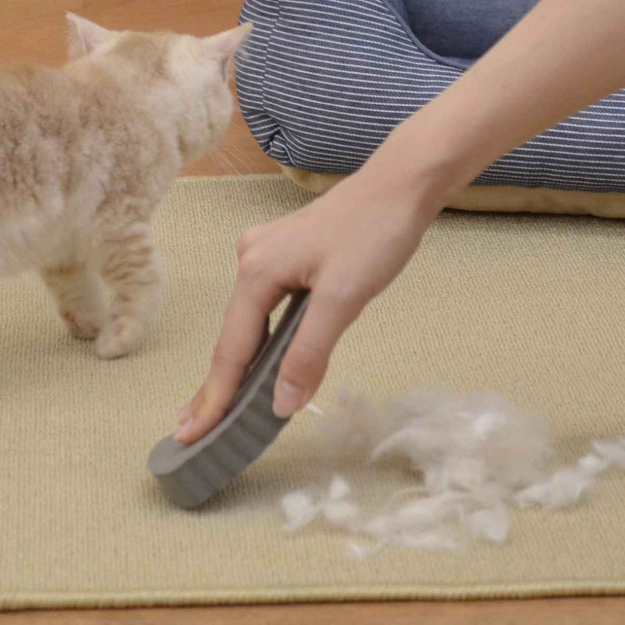 ペットの毛取りスポンジ ケトール hachi （ ペット 毛取り 毛