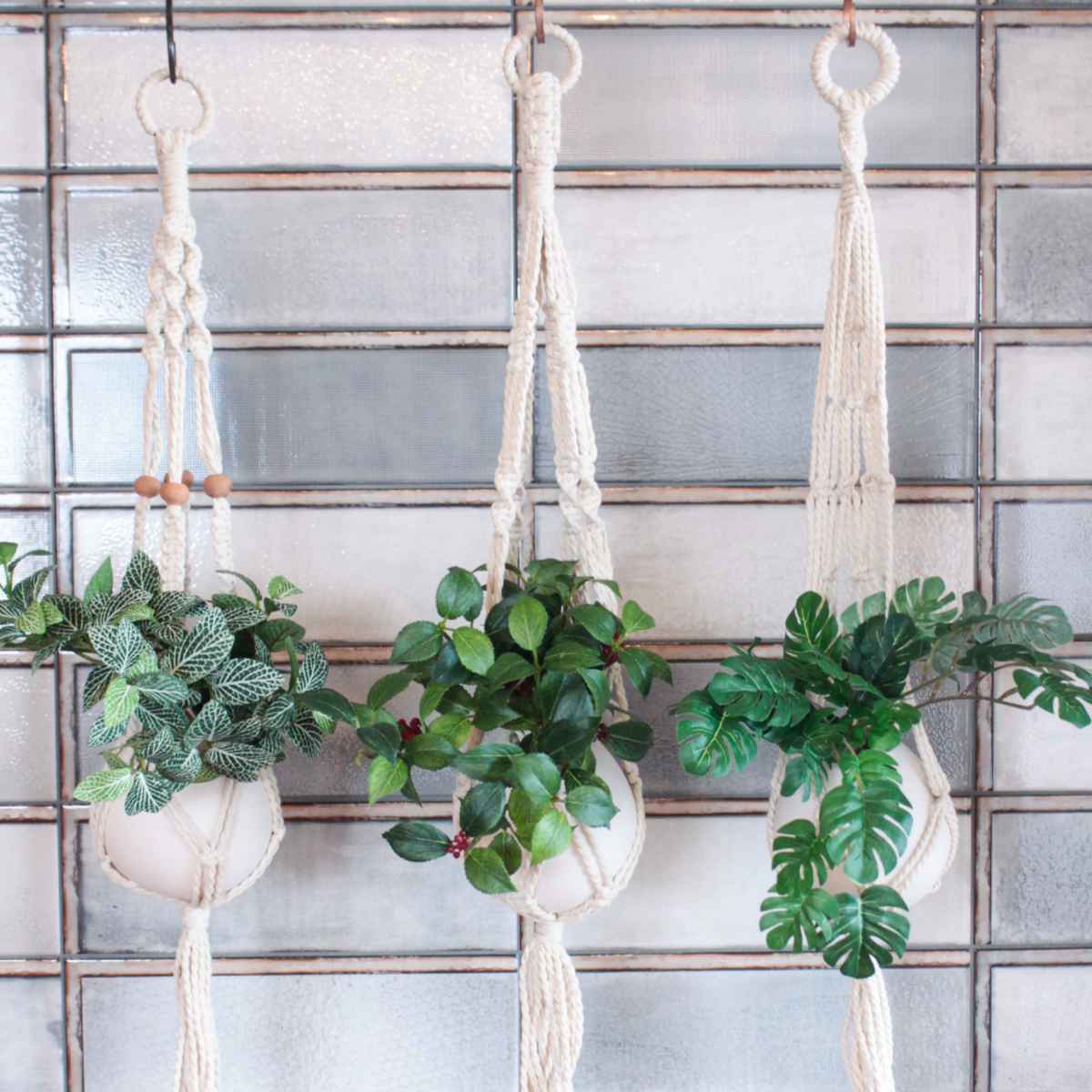 プランター マクラメプラントハンガーコットン S A （ プランター