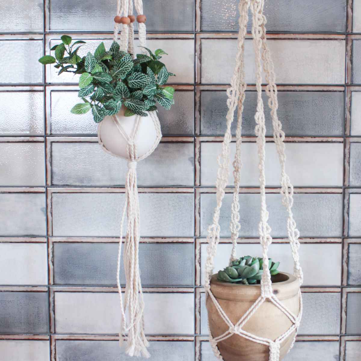プランター マクラメプラントハンガーコットン S A （ プランター