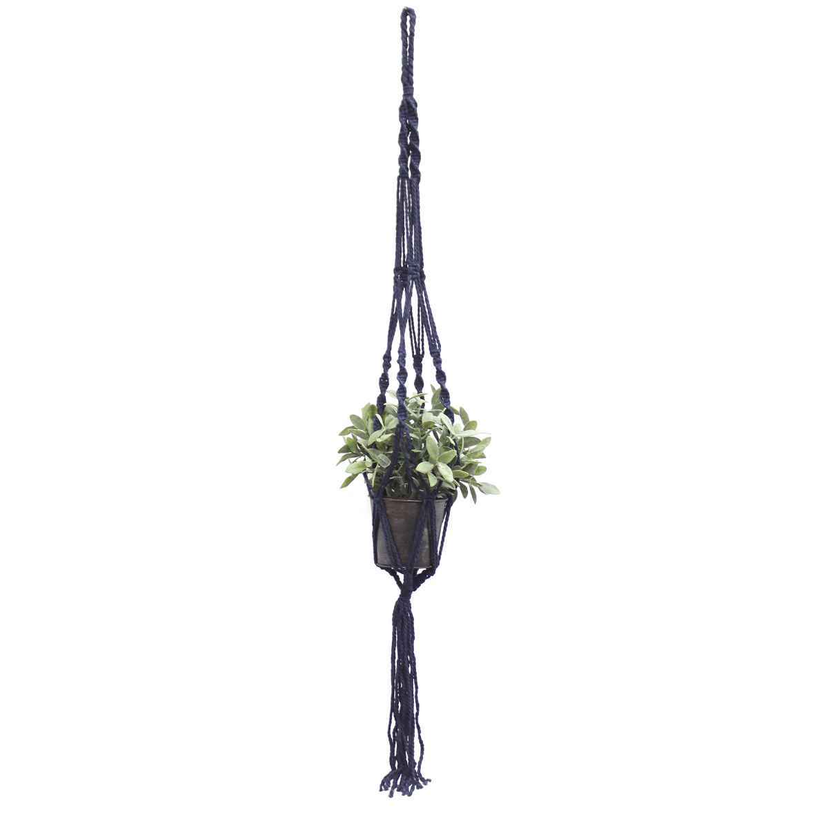 天井から吊るす 植物の商品一覧 通販 Yahoo ショッピング