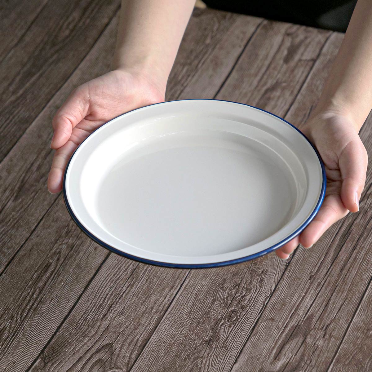 プレート 22cm ラウンド レトロモーダ プラスチック （ 食洗機対応