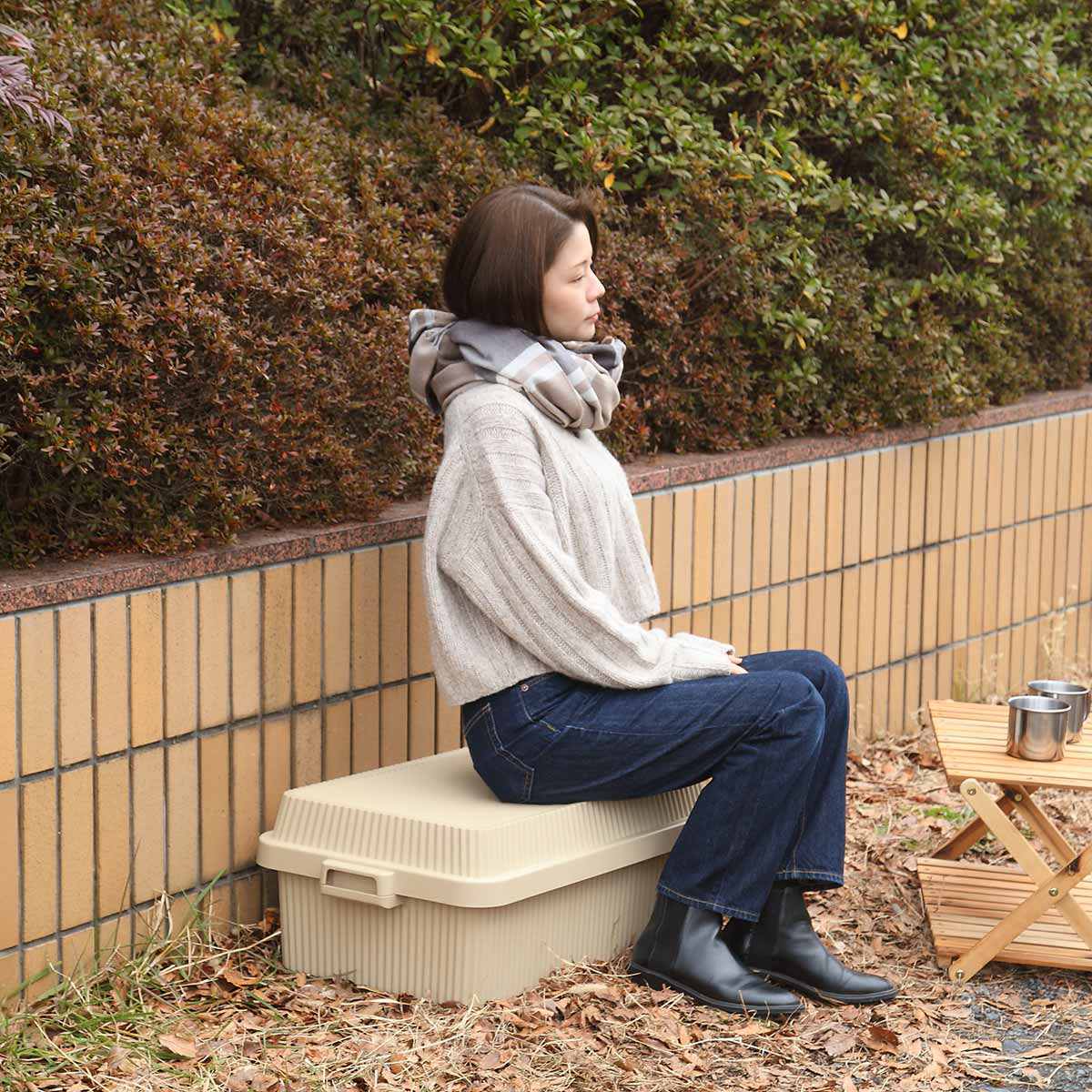 Like-it（ライクイット） 特典付き コンテナボックス 53L 浅型