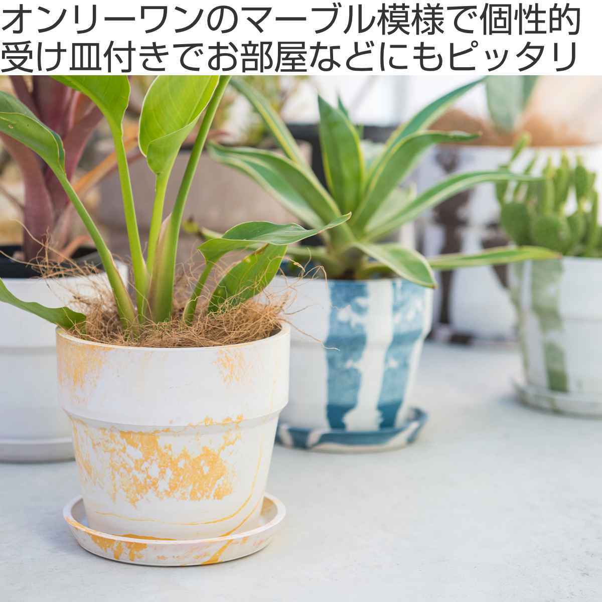 受け皿 植木鉢用 カラー 6号 アイリスオーヤマ プラスチック