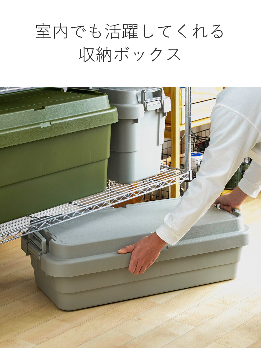 RISU（リス） 収納ボックストランクカーゴ LOW TC-70S 40L 幅78×奥行39