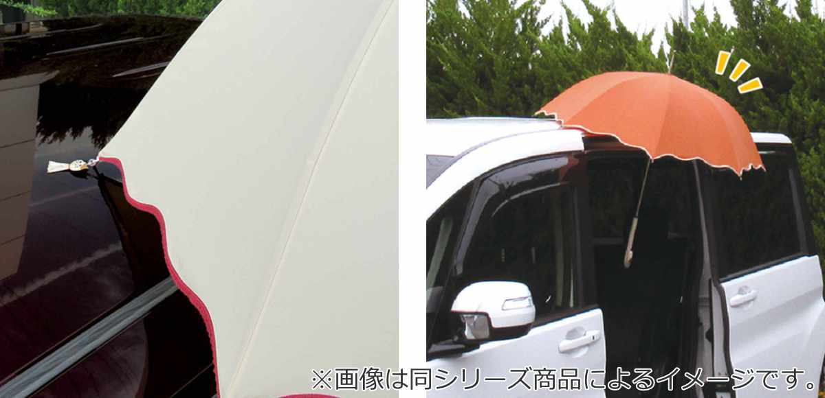 傘ピタ　カエル　傘を車に固定　雨の日の乗り降りに　リフレクター