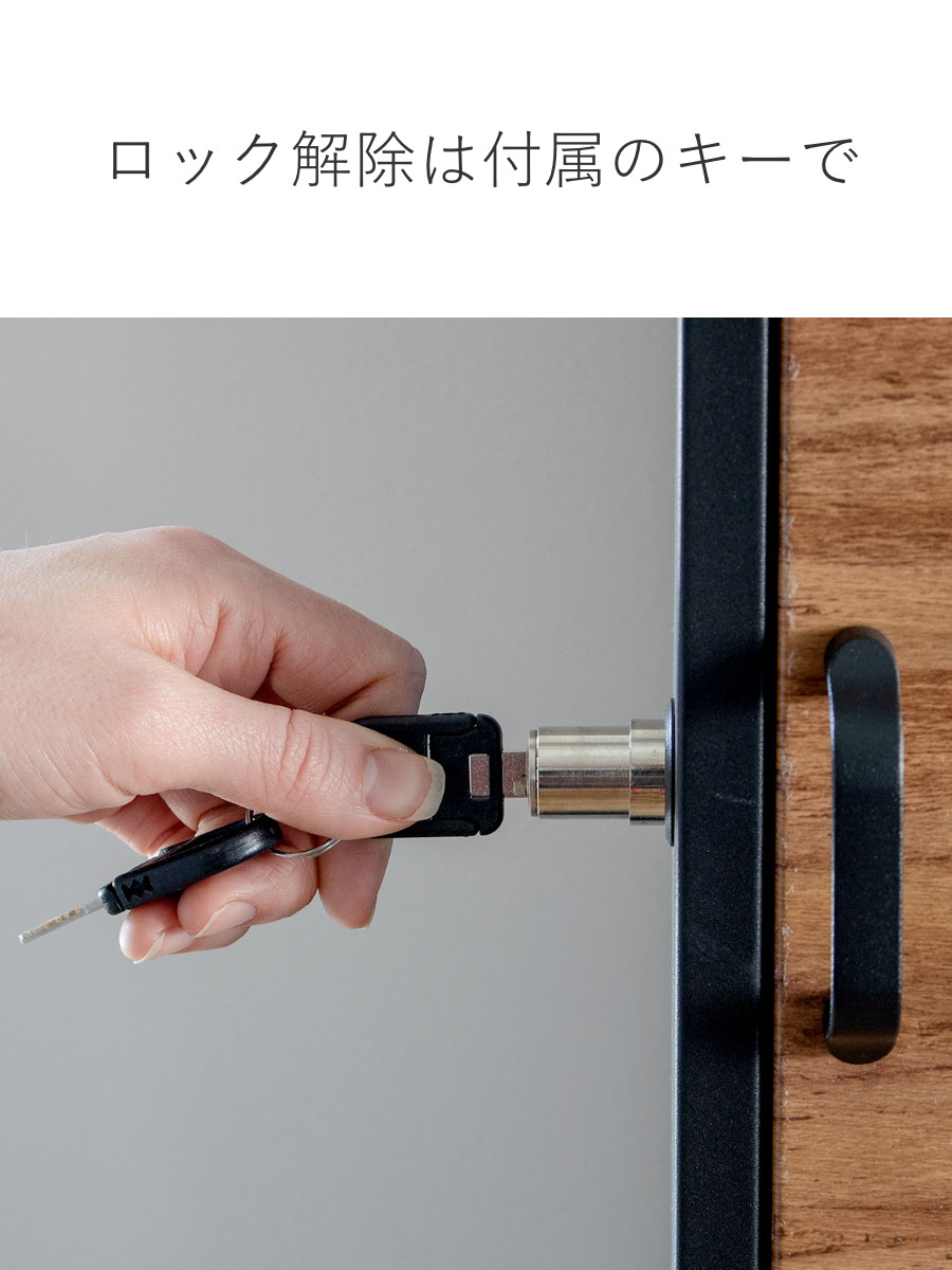宅配ボックス 郵便ポスト リシム マルチ 濃木目 （ 一戸建て用