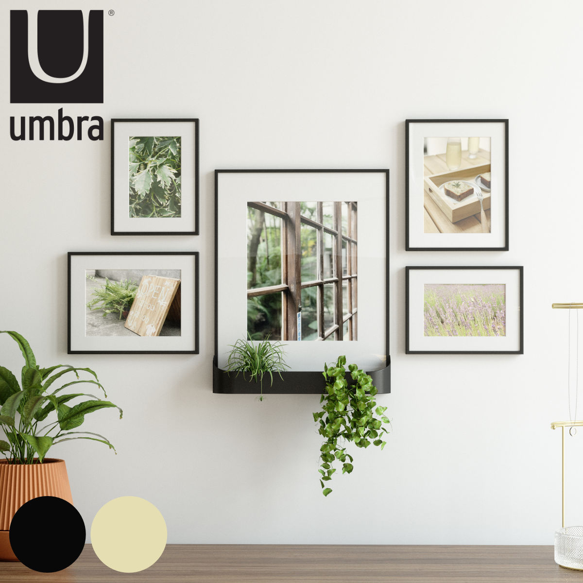 ギネスの壁掛けフォトフレーム Umbra（アンブラ） フォトフレーム マチネー5pc （ アンブラ 写真立て