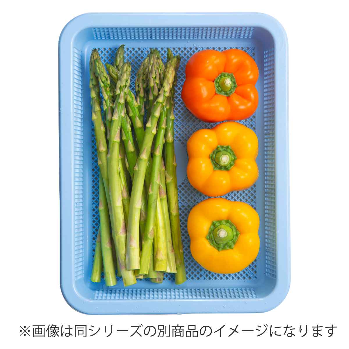 アシスト 抗菌角型ザル 浅3型 （ ざる ザル 浅型ザル 角ザル スクエア