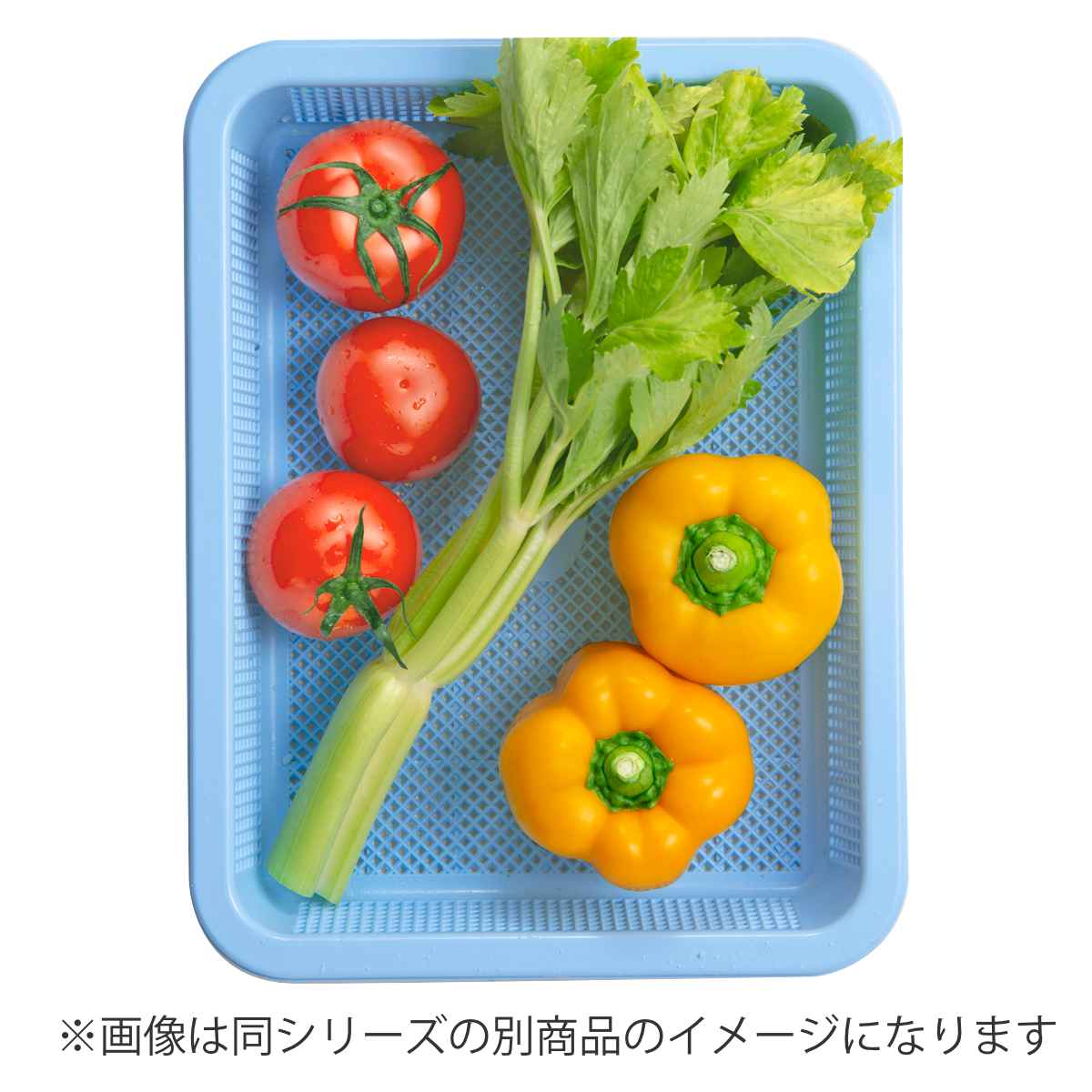 アシスト 抗菌角型ザル 浅3型 （ ざる ザル 浅型ザル 角ザル スクエア