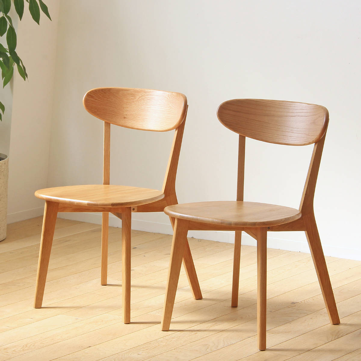 岩附 ダイニングチェア 2脚セット 座面高43cm リバー 木製 天然木