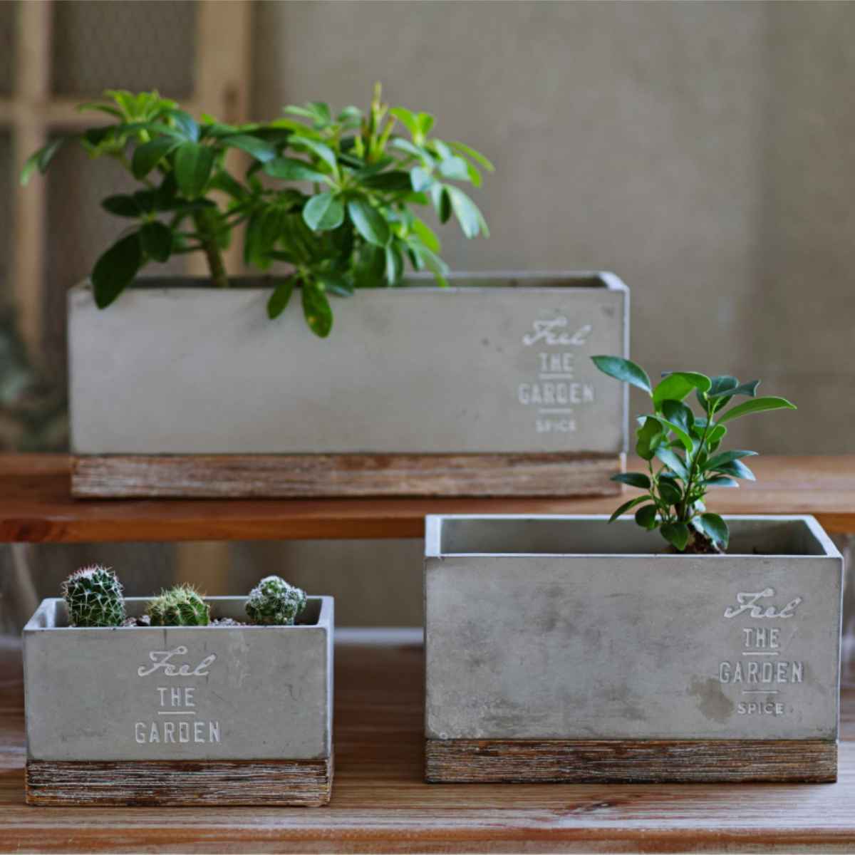 鉢・プランター meee.l SPICE of Life 植木鉢 マクラメプランター Lサイズ 6号 セメント