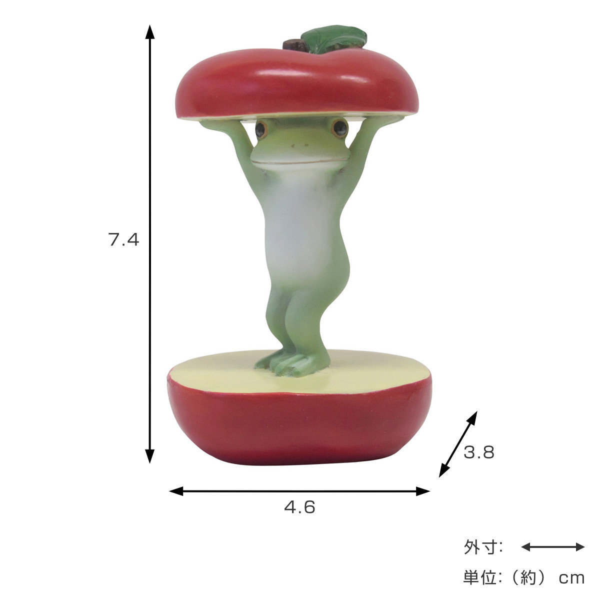 置き物 りんごからカエル Copeau コポー （ カエル コポタロウ 置物