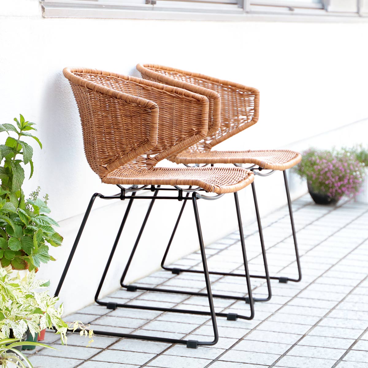 ダイニングチェア ラタン調 スチールフレーム 座面高45cm