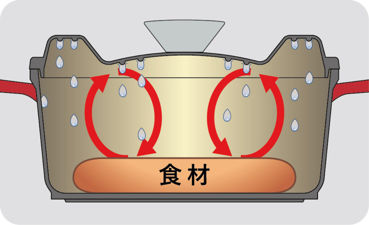 佐藤商事 D＆S 両手鍋 20cm IH対応 ウォーターレスキャセロール 無水