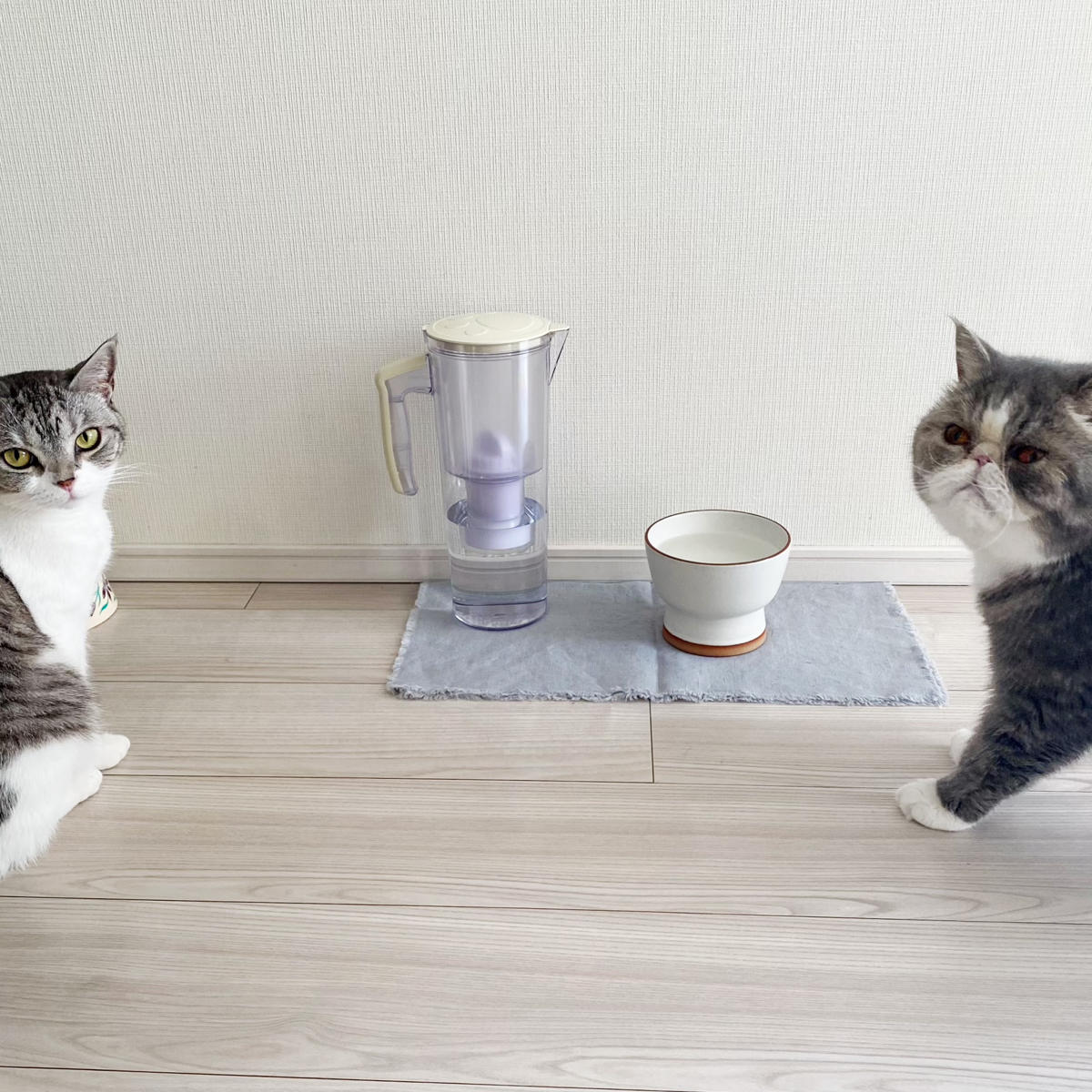 クリタック まるっと軟水大容量 750ml 犬猫用 （ ペット用浄軟水器