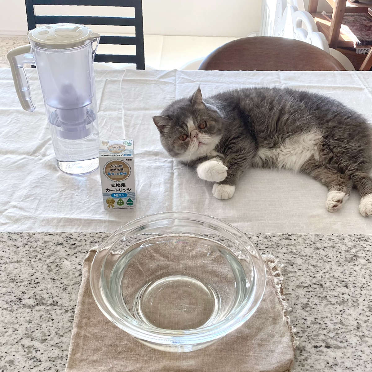 クリタック まるっと軟水大容量 750ml 犬猫用 （ ペット用浄軟水器