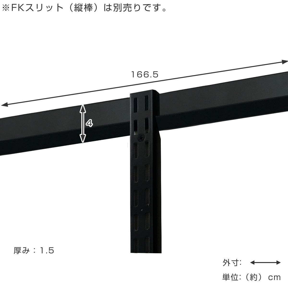 壁面収納 FKレール 幅166.5cm フィットラック ブラック （ 幅1665mm