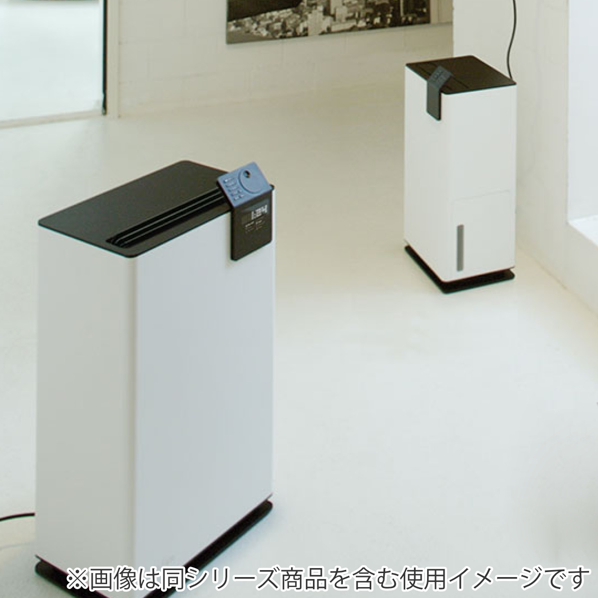 アントレックス 除湿乾燥機 Stadler Form Albert little