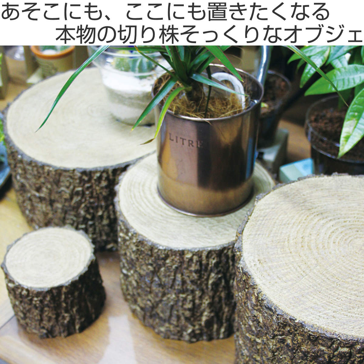 オーナメント レジン切り株オブジェ XLサイズ （ オブジェ 切り株 花台