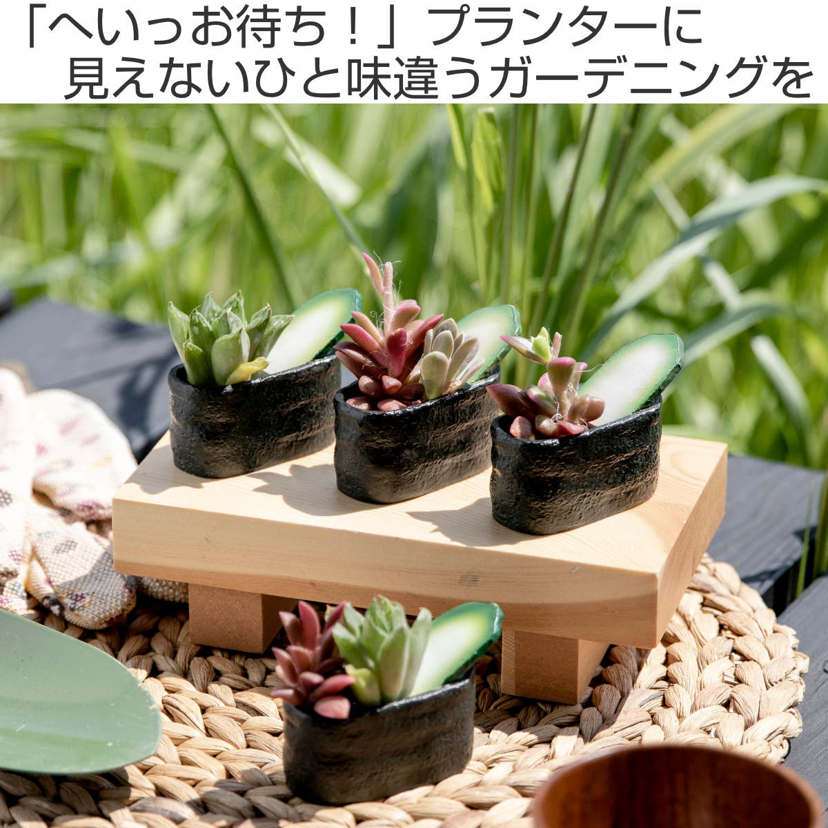 プランター 江戸前寿司のミニミニポット （ 植木鉢 プラントポット