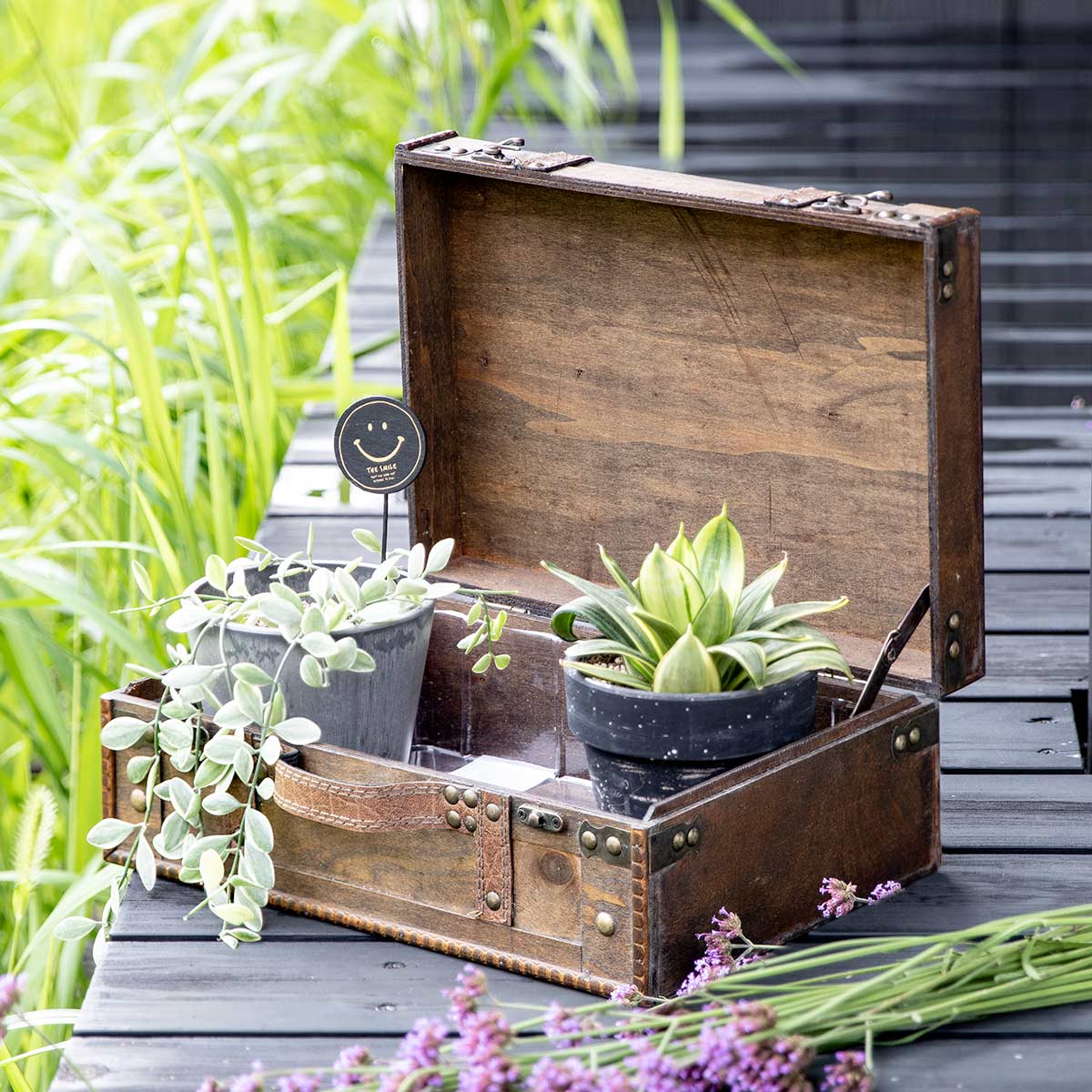 プランター ビジネスバッグポット ブラウン （ 植木鉢 プラントポット