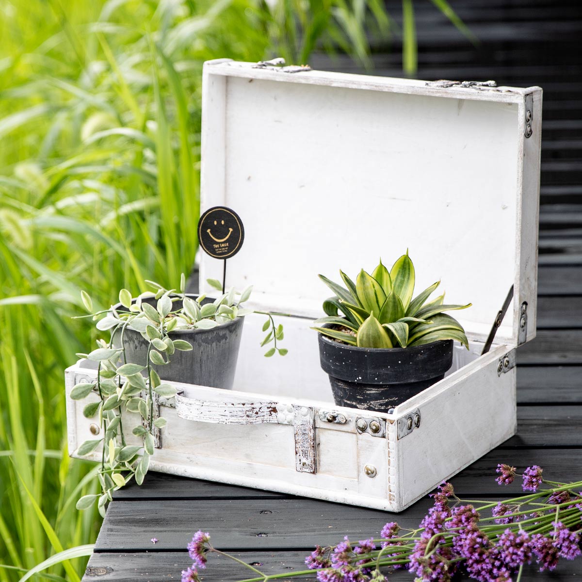 プランター ビジネスバッグポット ホワイト （ 植木鉢 プラントポット