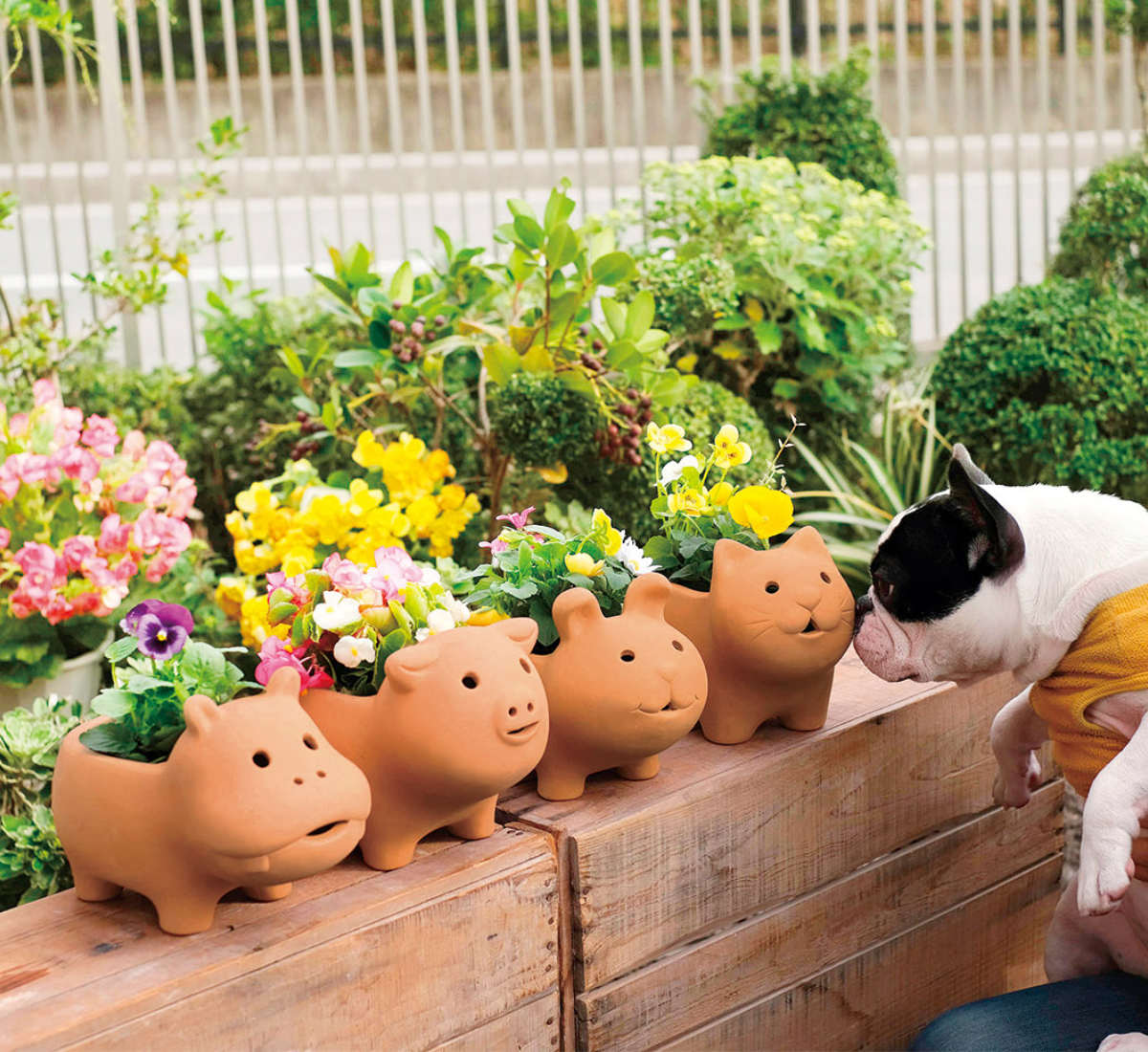 プランター アニマルテラコッタポット ウサギ 3号 （ 植木鉢 プラント