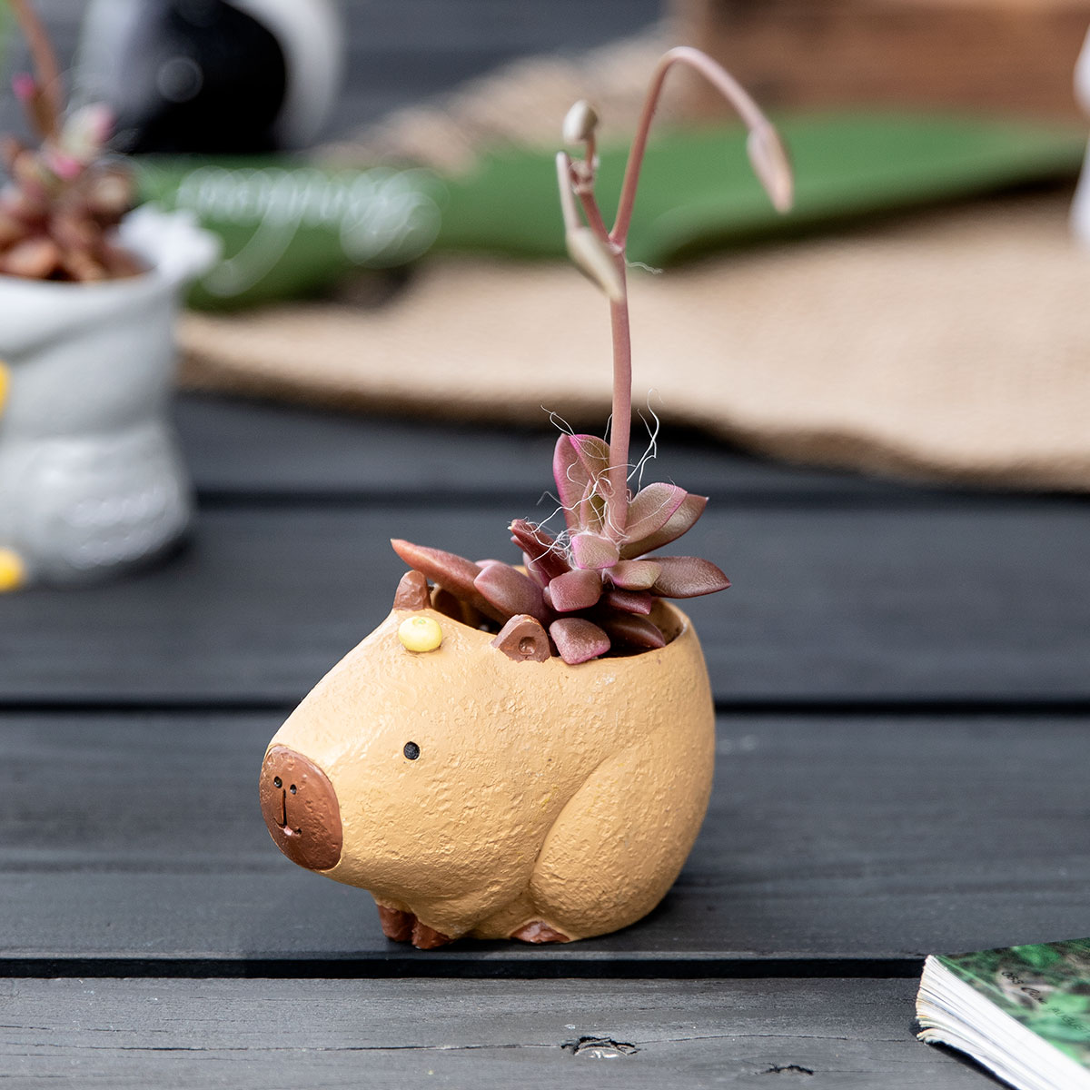 プランター 珍獣シリーズ カピバラ （ 植木鉢 プラントポット 植物用