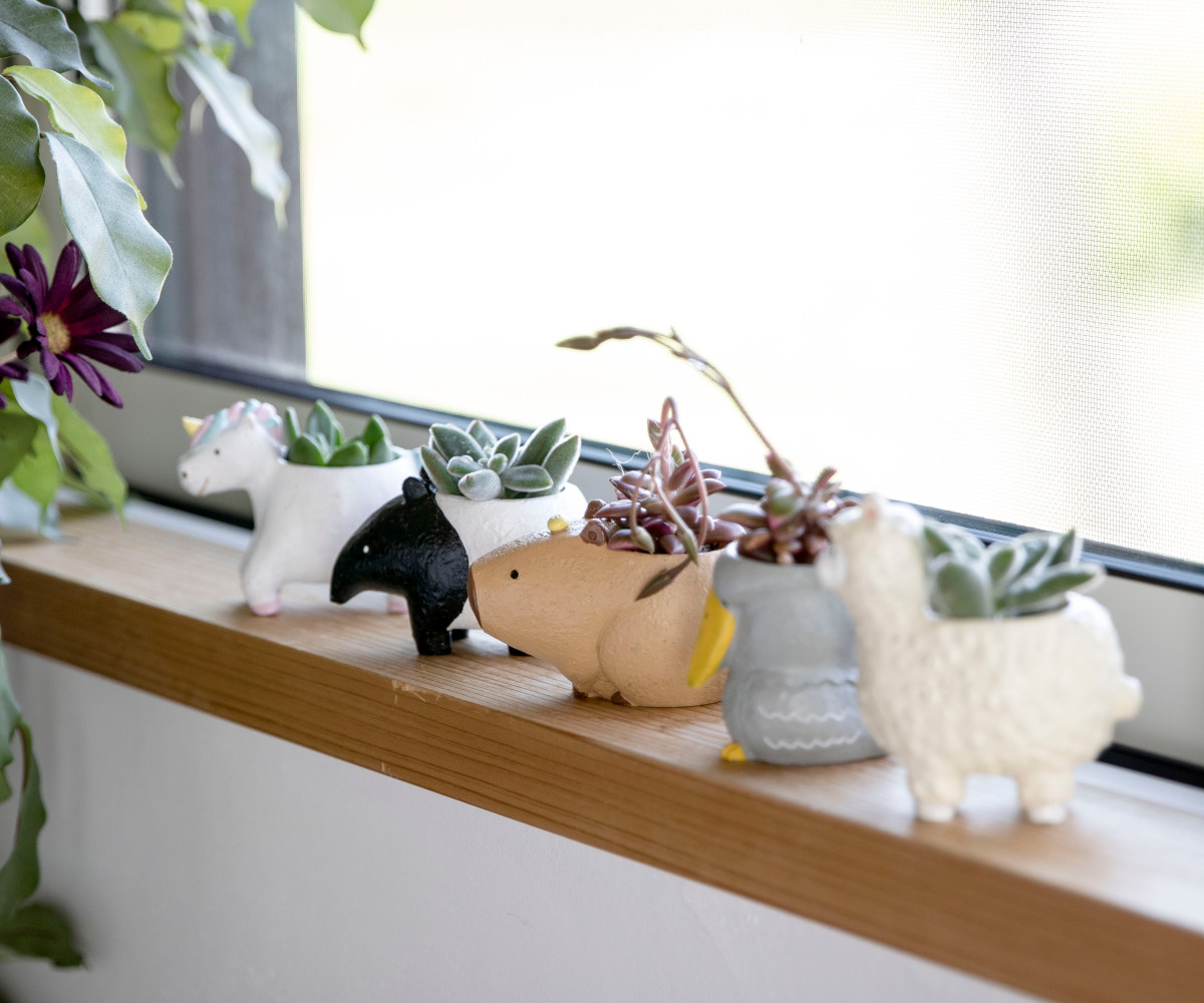 プランター 珍獣シリーズ カピバラ （ 植木鉢 プラントポット 植物用