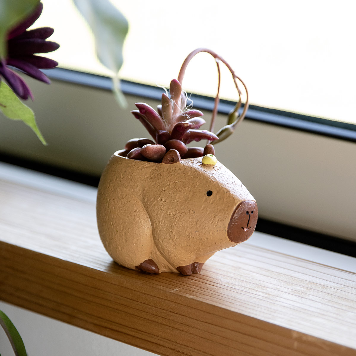 プランター 珍獣シリーズ カピバラ （ 植木鉢 プラントポット 植物用